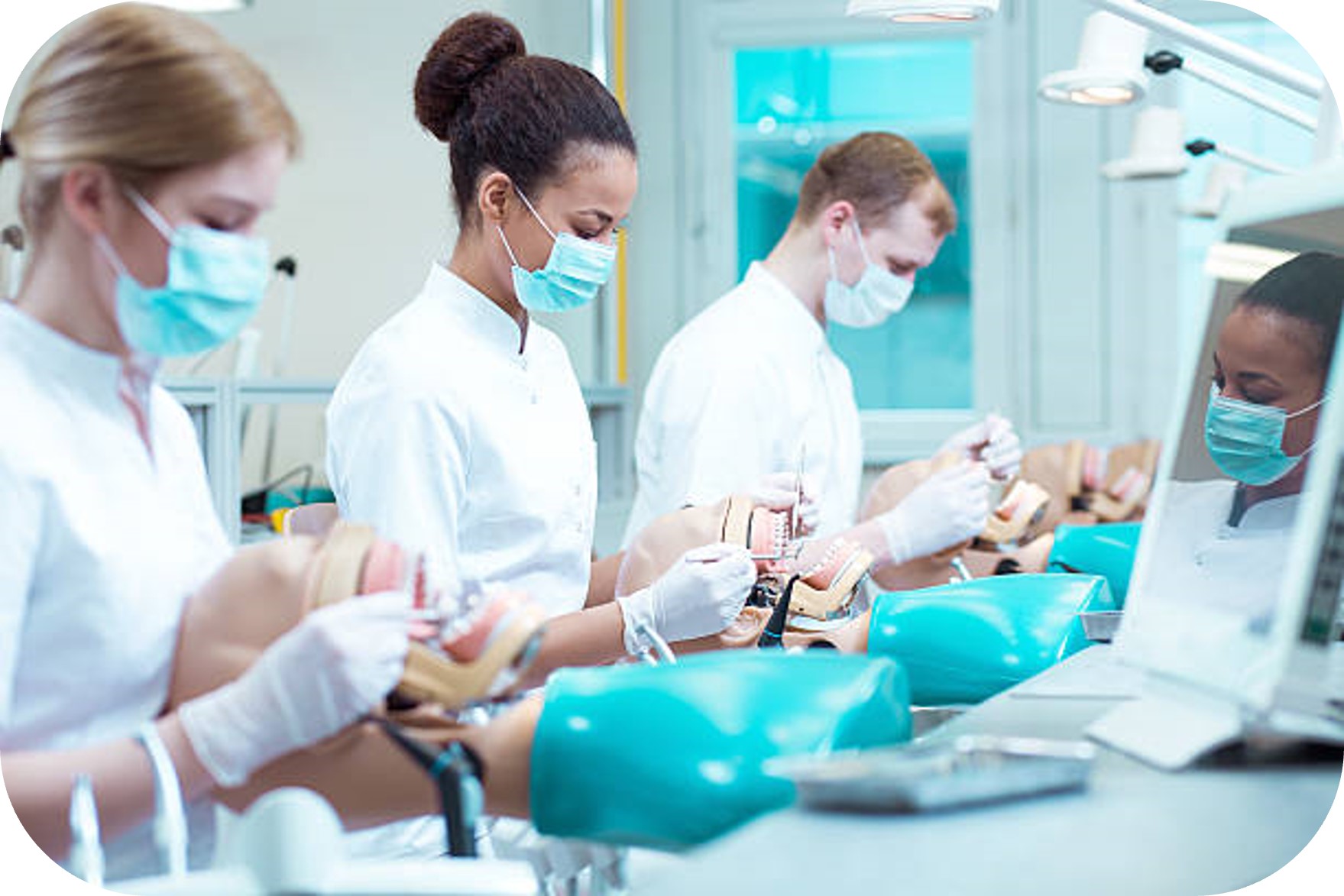 Dentists Student Dental Students